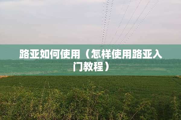 路亚如何使用（怎样使用路亚入门教程）