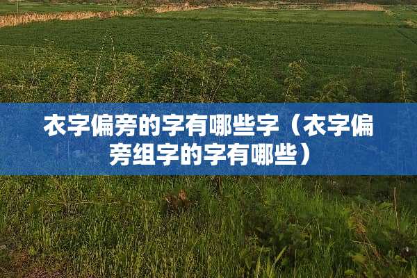 衣字偏旁的字有哪些字（衣字偏旁组字的字有哪些）