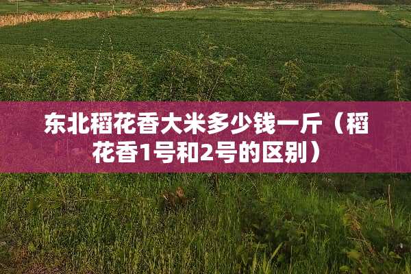 东北稻花香大米多少钱一斤（稻花香1号和2号的区别）