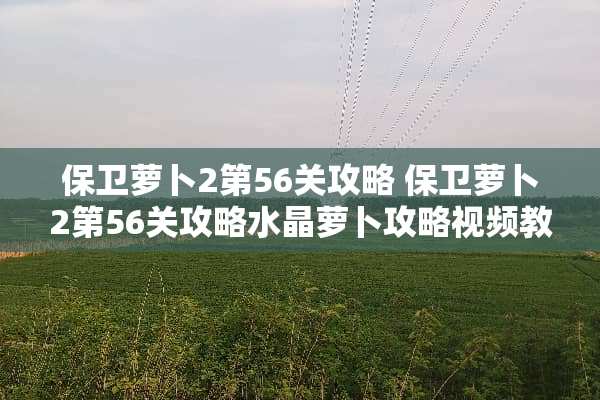 保卫萝卜2第56关攻略 保卫萝卜2第56关攻略水晶萝卜攻略视频教程