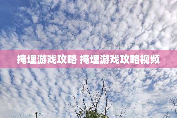 掩埋游戏攻略 掩埋游戏攻略视频