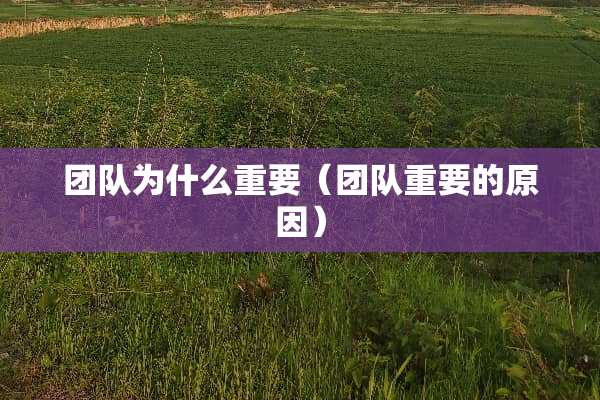 团队为什么重要（团队重要的原因）