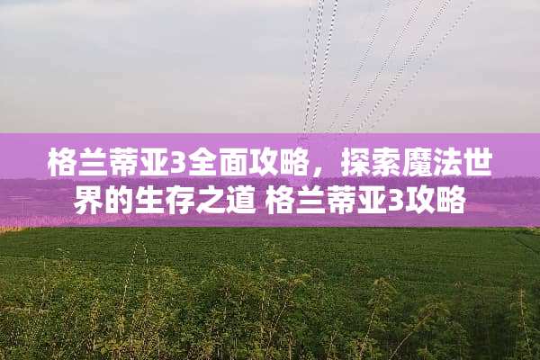 格兰蒂亚3全面攻略，探索魔法世界的生存之道 格兰蒂亚3攻略