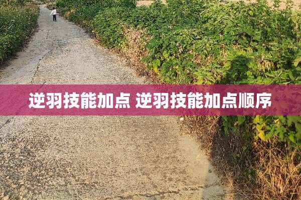 逆羽技能加点 逆羽技能加点顺序