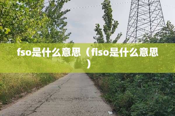 fso是什么意思（fiso是什么意思）