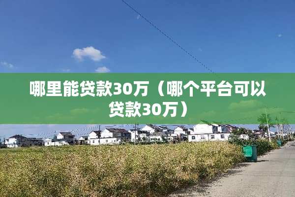 哪里能贷款30万（哪个平台可以贷款30万）