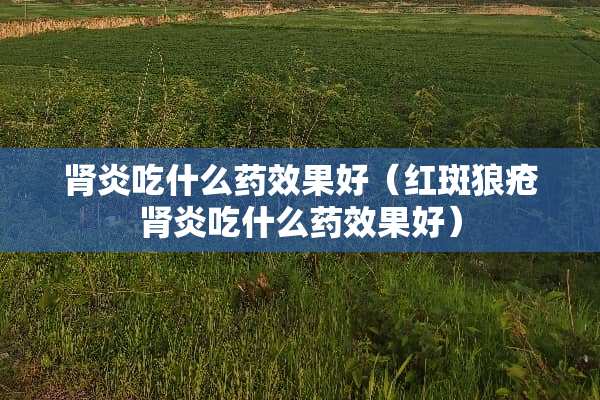 肾炎吃什么药效果好（红斑狼疮肾炎吃什么药效果好）