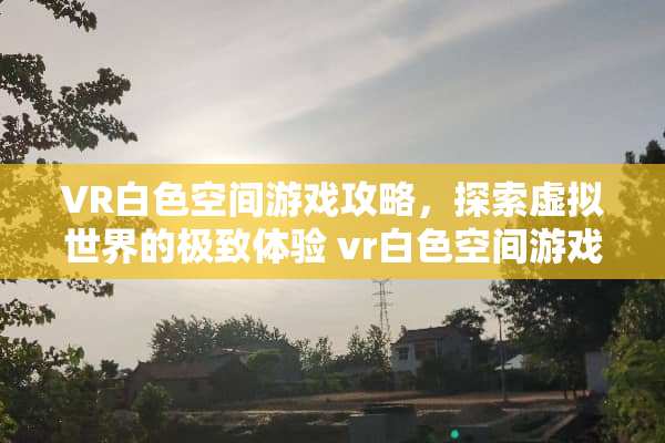 VR白色空间游戏攻略，探索虚拟世界的极致体验 vr白色空间游戏攻略