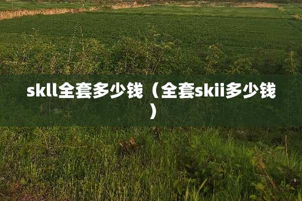 skll**多少钱（**skii多少钱）