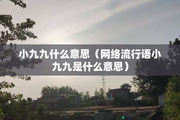 小九九什么意思（网络流行语小九九是什么意思）