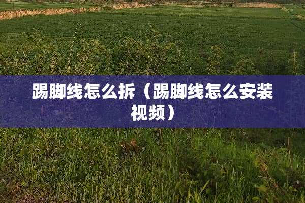 踢脚线怎么拆（踢脚线怎么安装视频）