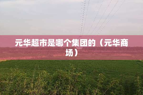 元华超市是哪个集团的（元华商场）