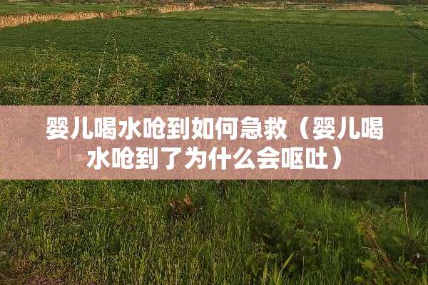 婴儿喝水呛到如何急救（婴儿喝水呛到了为什么会呕吐）