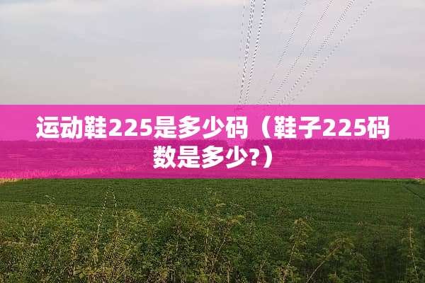 运动鞋225是多少码（鞋子225码数是多少?）