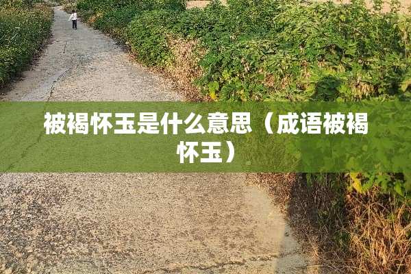 被褐怀玉是什么意思(成语被褐怀玉) 被褐怀玉是什么意思(成语被褐怀玉)