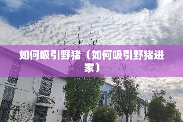 如何吸引野猪（如何吸引野猪进家）