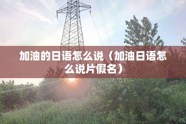 加油的日语怎么说（加油日语怎么说片假名）