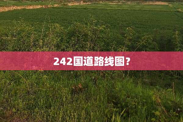 242国道路线图？