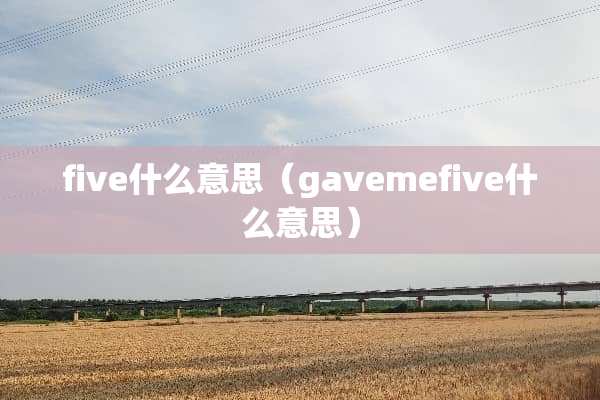 five什么意思（gavemefive什么意思）