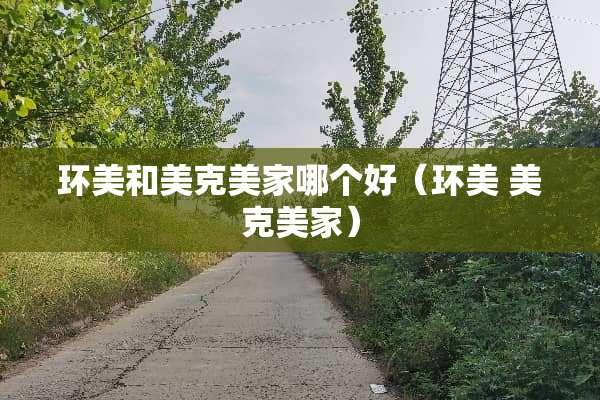 环美和美克美家哪个好（环美 美克美家）