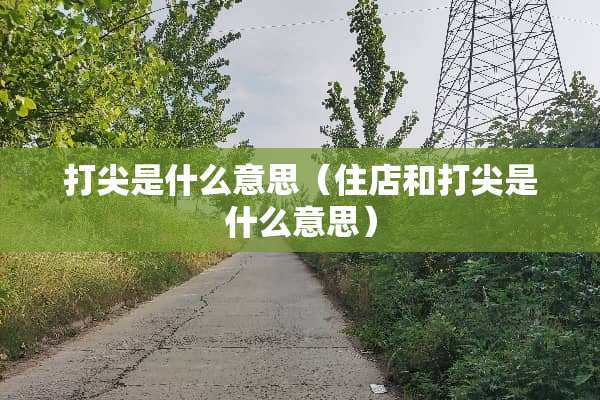 打尖是什么意思（住店和打尖是什么意思）