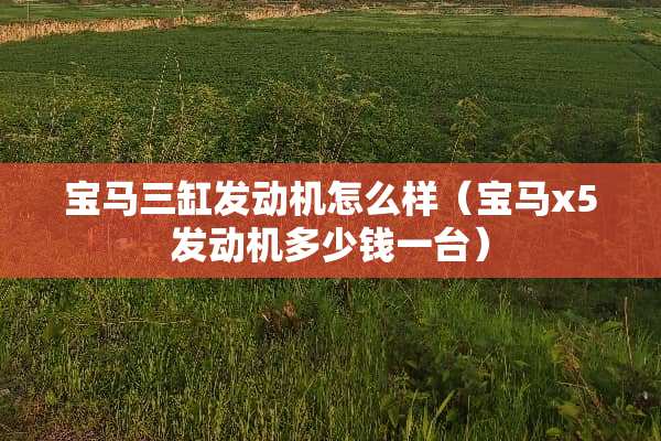 宝马三缸发动机怎么样(宝马x5发动机多少钱一台) 宝马三缸发动机怎么样(宝马x5发动机多少钱一台)