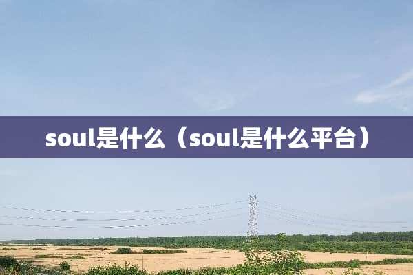 soul是什么（soul是什么平台）