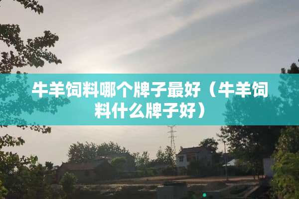 **饲料哪个牌子最好（**饲料什么牌子好）