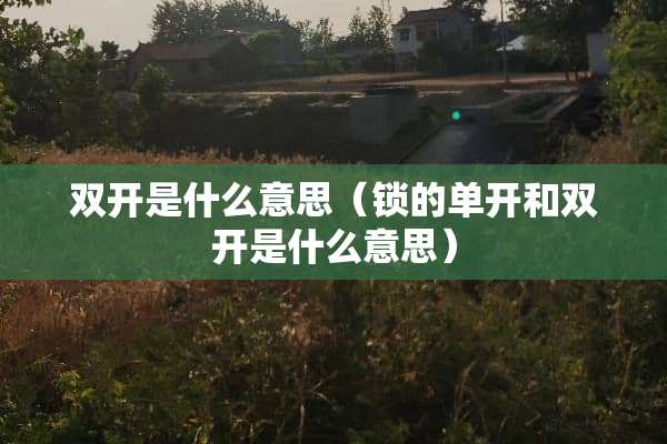 双开是什么意思（锁的单开和双开是什么意思）