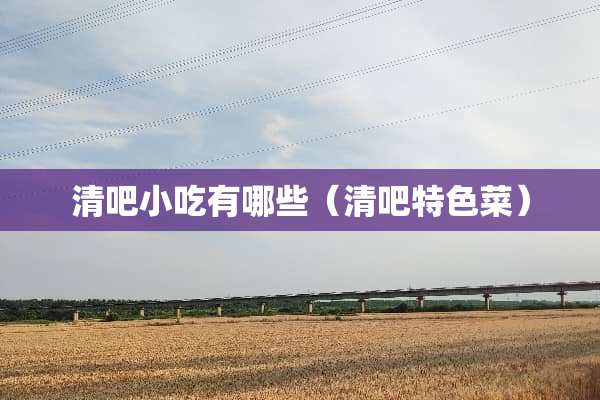 清吧小吃有哪些（清吧特色菜）