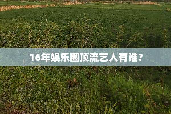 16年娱乐圈顶流艺人有谁？