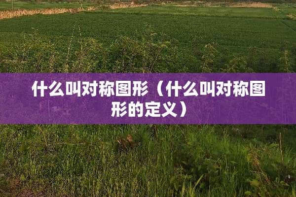 什么叫对称图形(什么叫对称图形的定义) 什么叫对称图形(什么叫对称图形的定义)