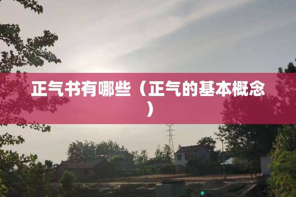 正气书有哪些（正气的基本概念）