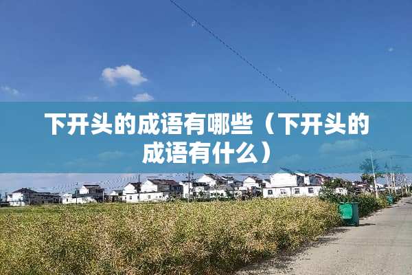 下开头的成语有哪些（下开头的成语有什么）