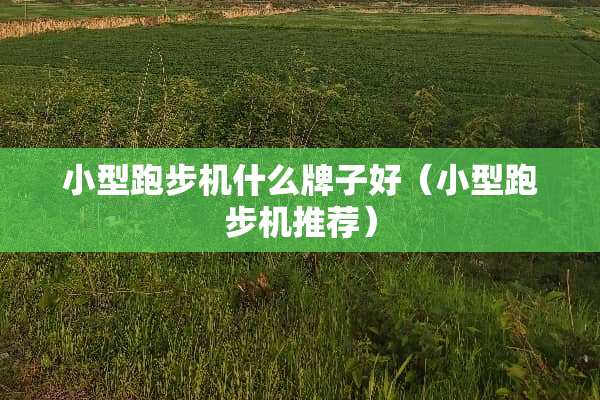 小型跑步机什么牌子好（小型跑步机推荐）