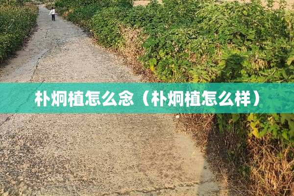 朴炯植怎么念（朴炯植怎么样）