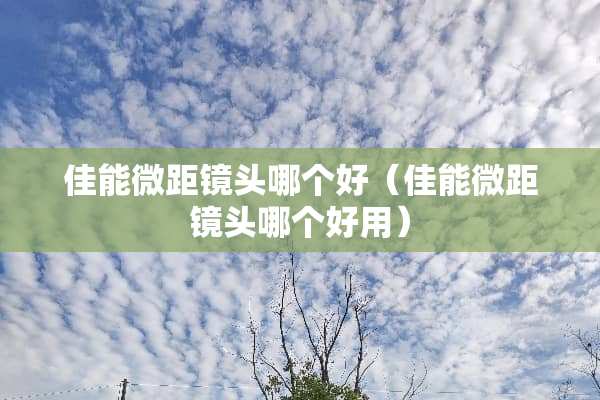 佳能微距镜头哪个好（佳能微距镜头哪个好用）