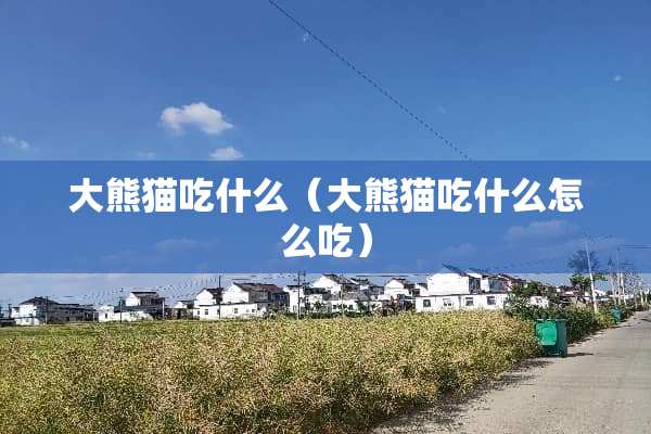 大熊猫吃什么（大熊猫吃什么怎么吃）