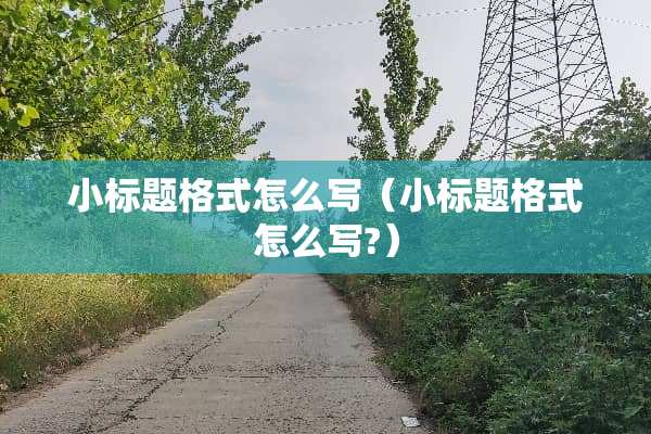 小标题格式怎么写（小标题格式怎么写?）
