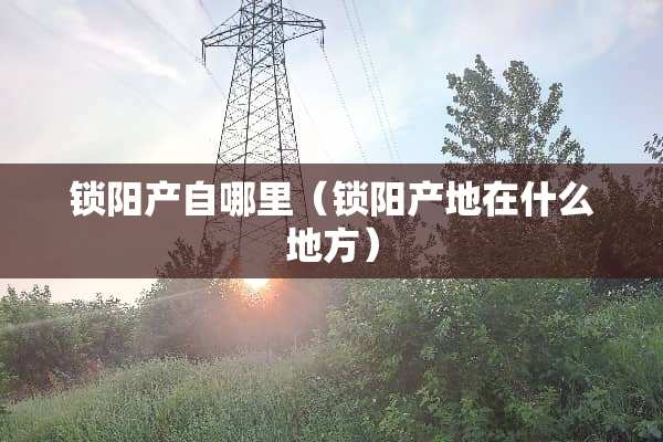 锁阳产自哪里（锁阳产地在什么地方）