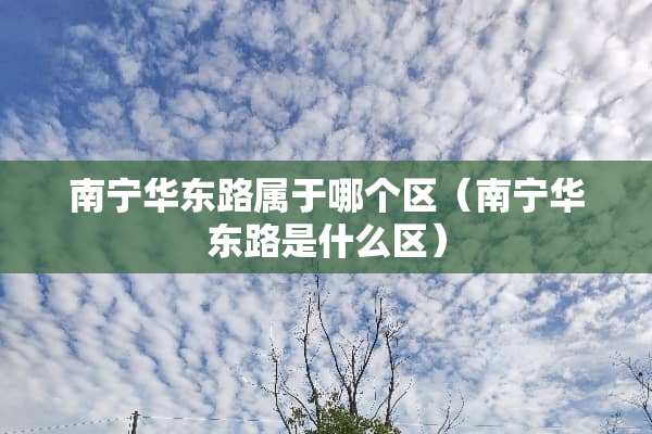 南宁华东路属于哪个区（南宁华东路是什么区）
