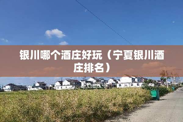银川哪个酒庄好玩（宁夏银川酒庄排名）