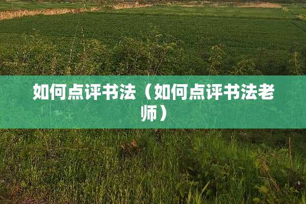 如何点评书法（如何点评书法老师）
