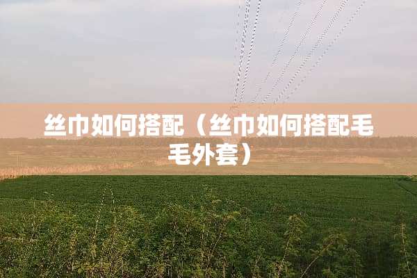 丝巾如何搭配（丝巾如何搭配毛毛外套）