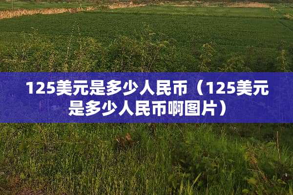125美元是多少人民币（125美元是多少人民币啊图片）