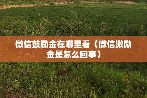 微信鼓励金在哪里看（微信激励金是怎么回事）