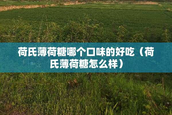 荷氏薄荷糖哪个口味的好吃（荷氏薄荷糖怎么样）