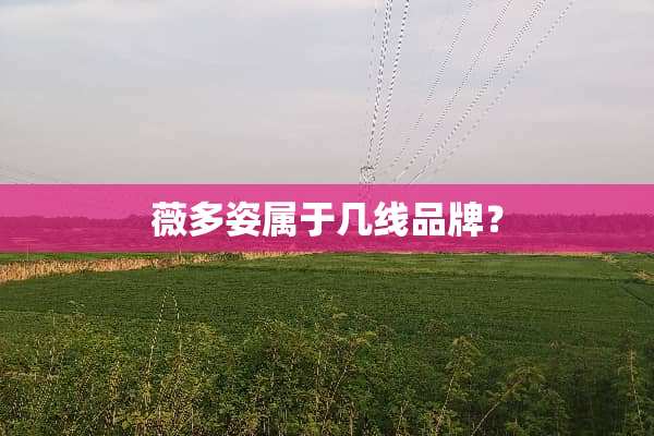 薇多姿属于几线品牌？