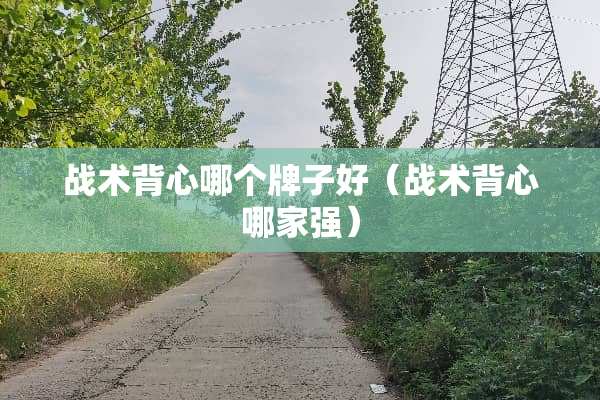 战术背心哪个牌子好（战术背心哪家强）