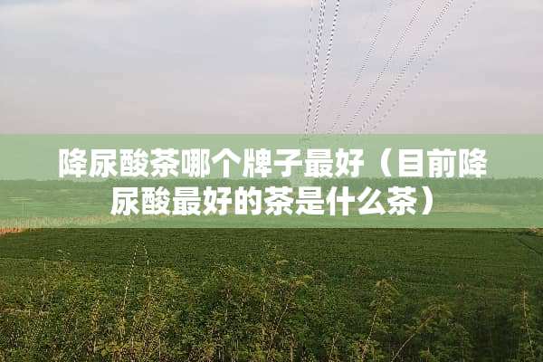 降尿酸茶哪个牌子最好（目前降尿酸最好的茶是什么茶）